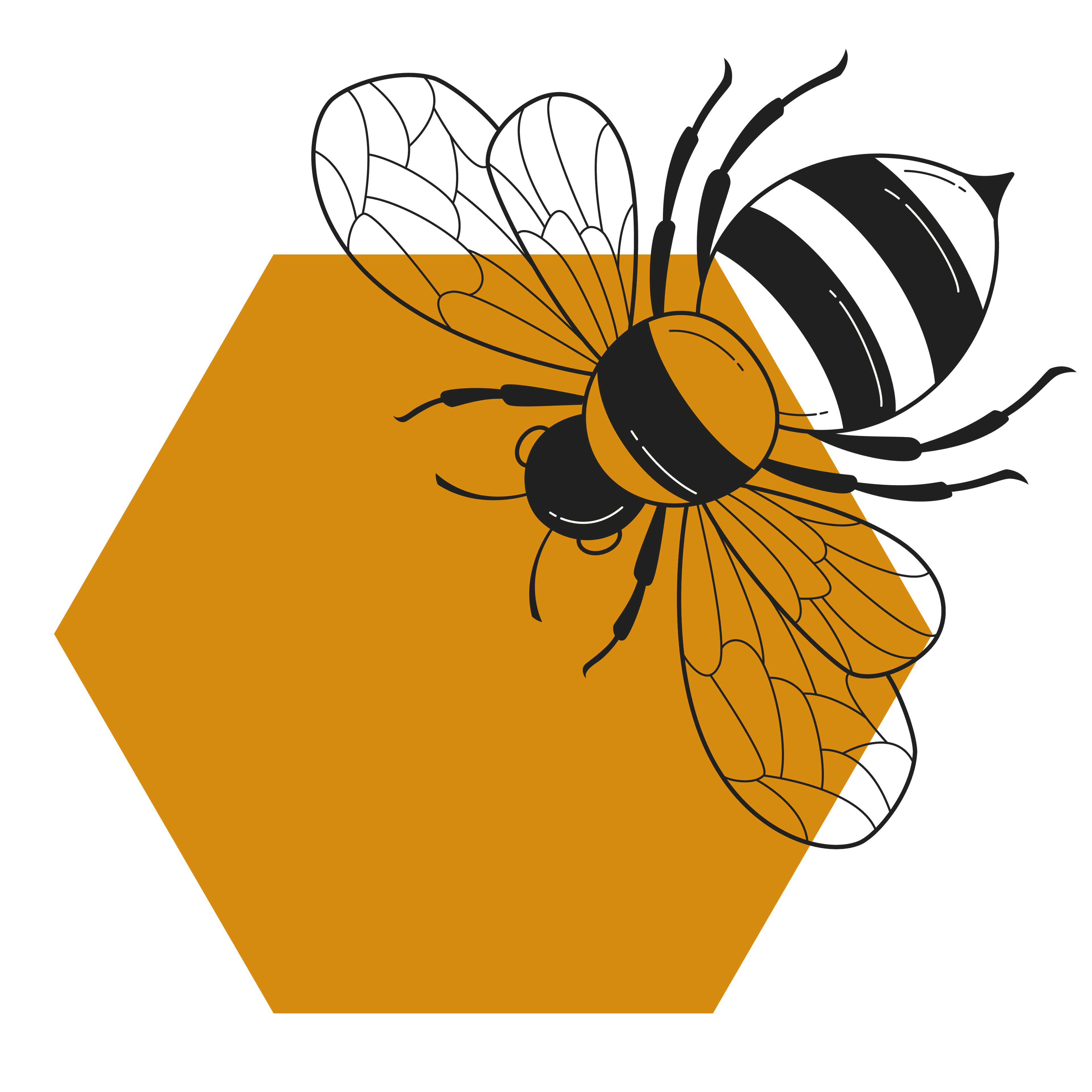 Bee Icon